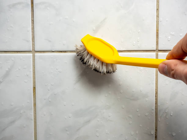 Best Certified Mold Removal  in Twin Lakes, CO