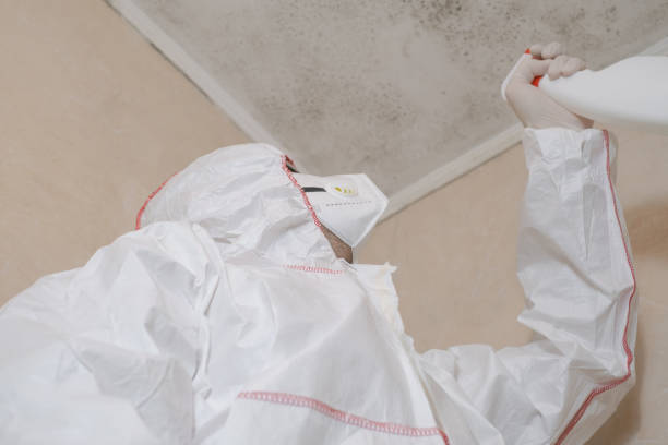 Certified Mold Removal in Twin Lakes, CO