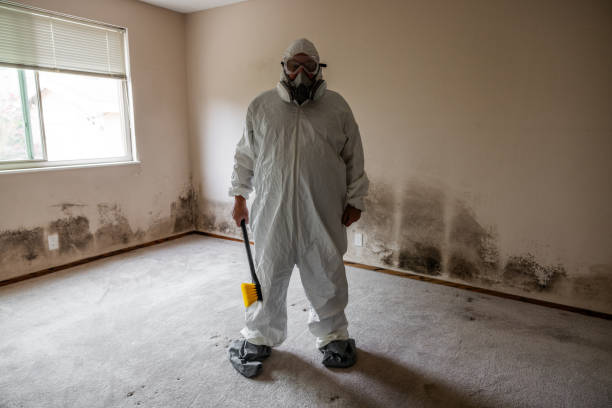 Best Crawl Space Mold Removal  in Twin Lakes, CO